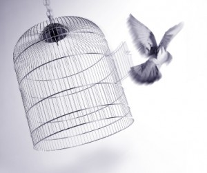 Caged-Bird-freed-300x251